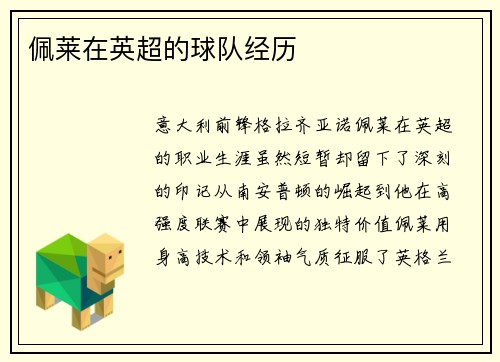 佩莱在英超的球队经历