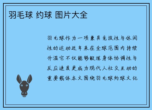 羽毛球 约球 图片大全