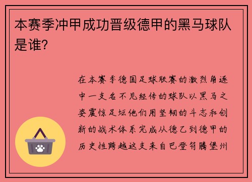 本赛季冲甲成功晋级德甲的黑马球队是谁？